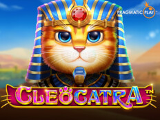 Cool cat casino download. 4500 günden emeklilik şartları.9